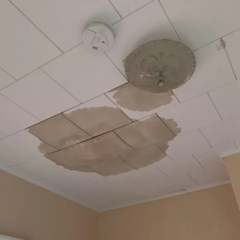 Ceiling Water Damage Repair in Pittsboro, MS