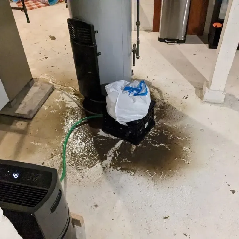 Sewage Backup Cleanup Service in Pittsboro, MS